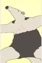 Anteater