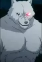 Wildman, Lobo