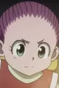 Reina