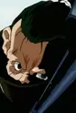 Shimi's Pupil