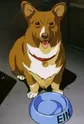 Ein