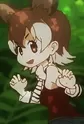 Okapi