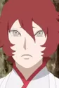 Akitsuki, Kankitsu