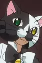 Nekoyama, Schrödinger