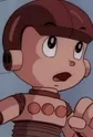 Pook