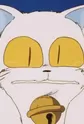 Maomolin