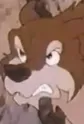 Akru