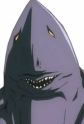 Zan Image