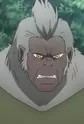 Mohikan