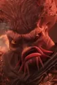 Octopus Monster