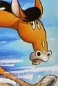 Nokko