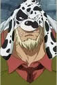 Dalmatian