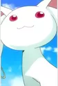 Kyuubey