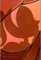 C-ko
