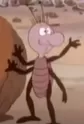 Rubbish Bug