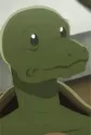Turtle Merchant