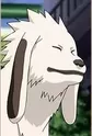 Akamaru