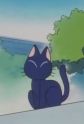 Honto wa Tenshi