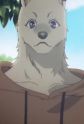 Gambar Karakter Dog Beastfolk