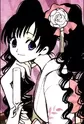 Kunogi, Himawari