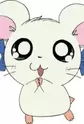 Ribon-chan