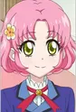 Kitaooji, Sakura