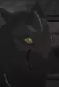 Yomi
