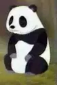 Tao Tao's Mother