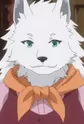 Ute