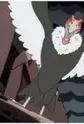Condor-san