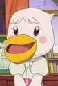 Pelly
