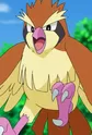 Poppo