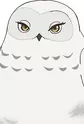 Shirofukurou