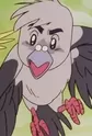 Fairy Pigeon