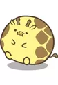 Pochakirin
