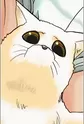 Menchi