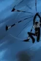 Silver Hakaider
