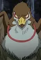 Shun