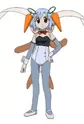 Pipin