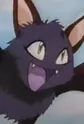 Blackie