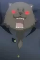 Kumacchi