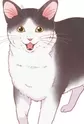 Tama