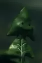 Dandelion Sprout
