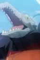 White Alligator