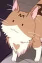 Metako