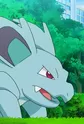 Nidorina