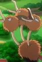 Dodrio