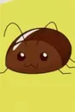 Cockroach