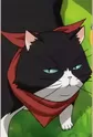 Nyamsus