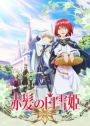 DVD Anime Kaizoku Oujo (Fena: Pirate Princess) TV Series (1-12 End) English  DUB